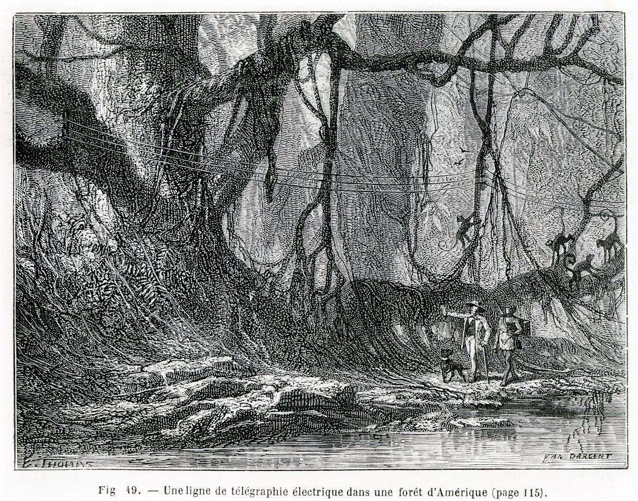 Uma linha telegráfica elétrica em uma floresta americana, c.1870 (gravura) de French School