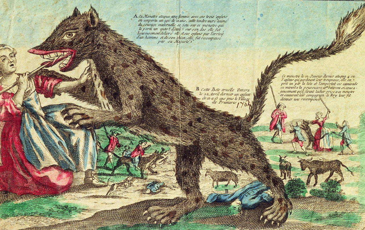 Ataques da besta de Gevaudan em 1764 (gravura a cores) de French School
