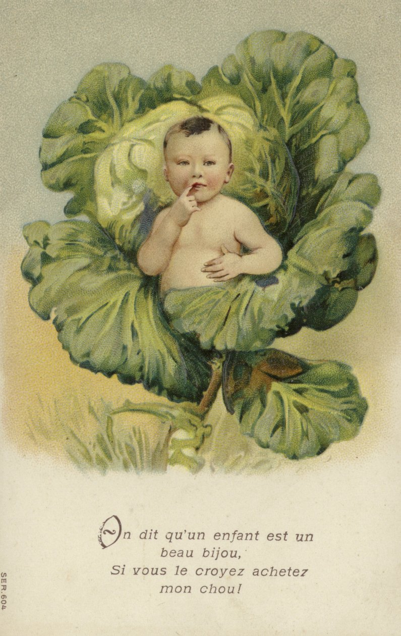 Bebé numa couve (cromolitho) de French School