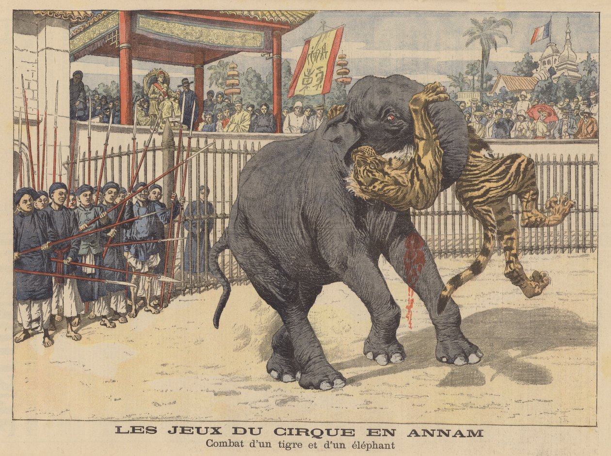 Combate entre um elefante e um tigre num circo em Annam, na Indochina (litografia a cores) de French School
