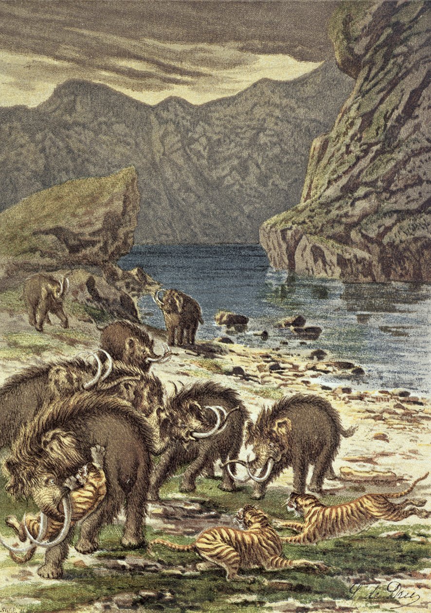 Batalha entre mamutes e tigres-dentes-de-sabre, do Le Monde Avant la Criação dHomme de Camille Flammarion, 1886 de French School