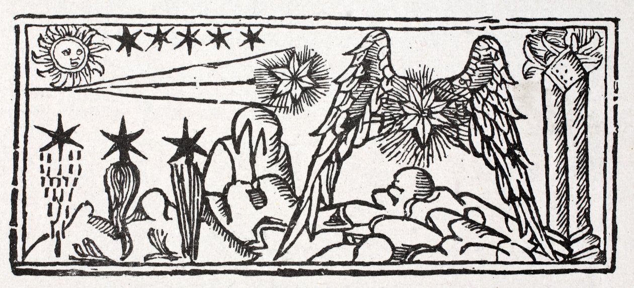 Estrelas de barba, uma estrela cadente, cauda de um cometa, uma estrela de cabelos compridos, uma estrela presa de French School