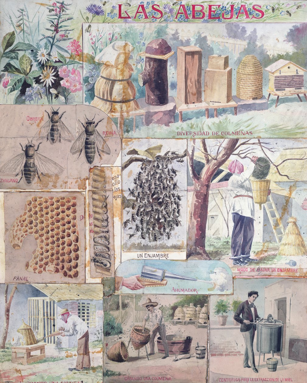Bee Culture, ilustração feita na França, destinada a publicação no México, c. 1900 de French School