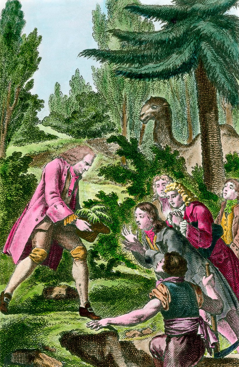 Bernard de Jussieu (1699-1777) plantando cedro do Líbano no jardim das plantas em Paris em 1734. Gravura do século XVIII. de French School