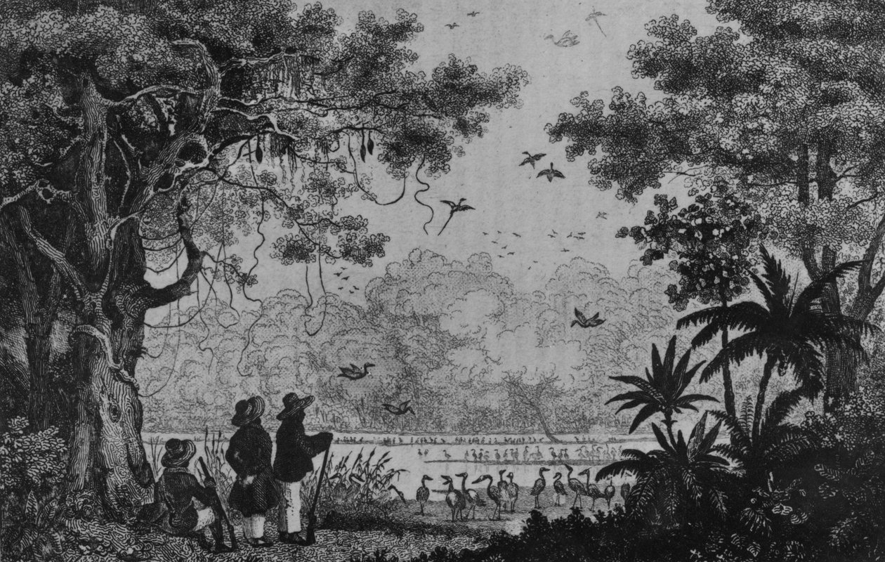 Caça de Pássaros, de &39;Bresil, Columbie et Guyanes&39; de Ferdinand Denis e Cesar Famin de French School