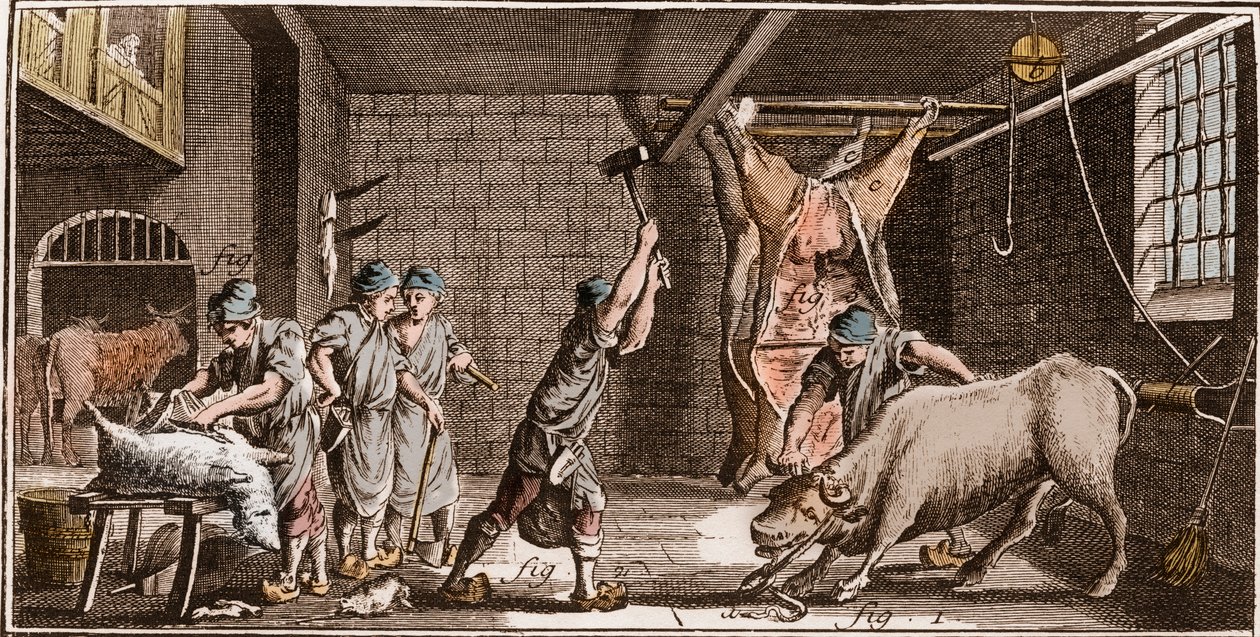 Boucher - Butchery - Butchery - "The Great Encyclopedie, ou Dictionnaire Raisonne des Sciences, des Arts et des Metiers" (Enciclopédia ou Dicionário das Ciências, Artes e Profissões) por Denis Diderot (1713-1784) e Jean d