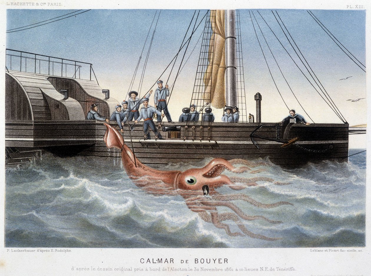 Bouyer squid - no "Le monde de la mer" de Alfred Fredol, Hachette, Paris de French School