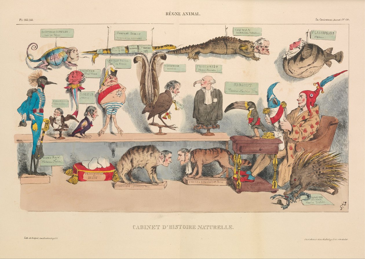 Gabinete de História Natural, da Caricatura, pub. 1833 (litografia colorida à mão) de French School