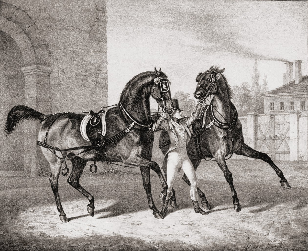 Cavalos de carruagem para o rei da Inglaterra, 1836 de French School