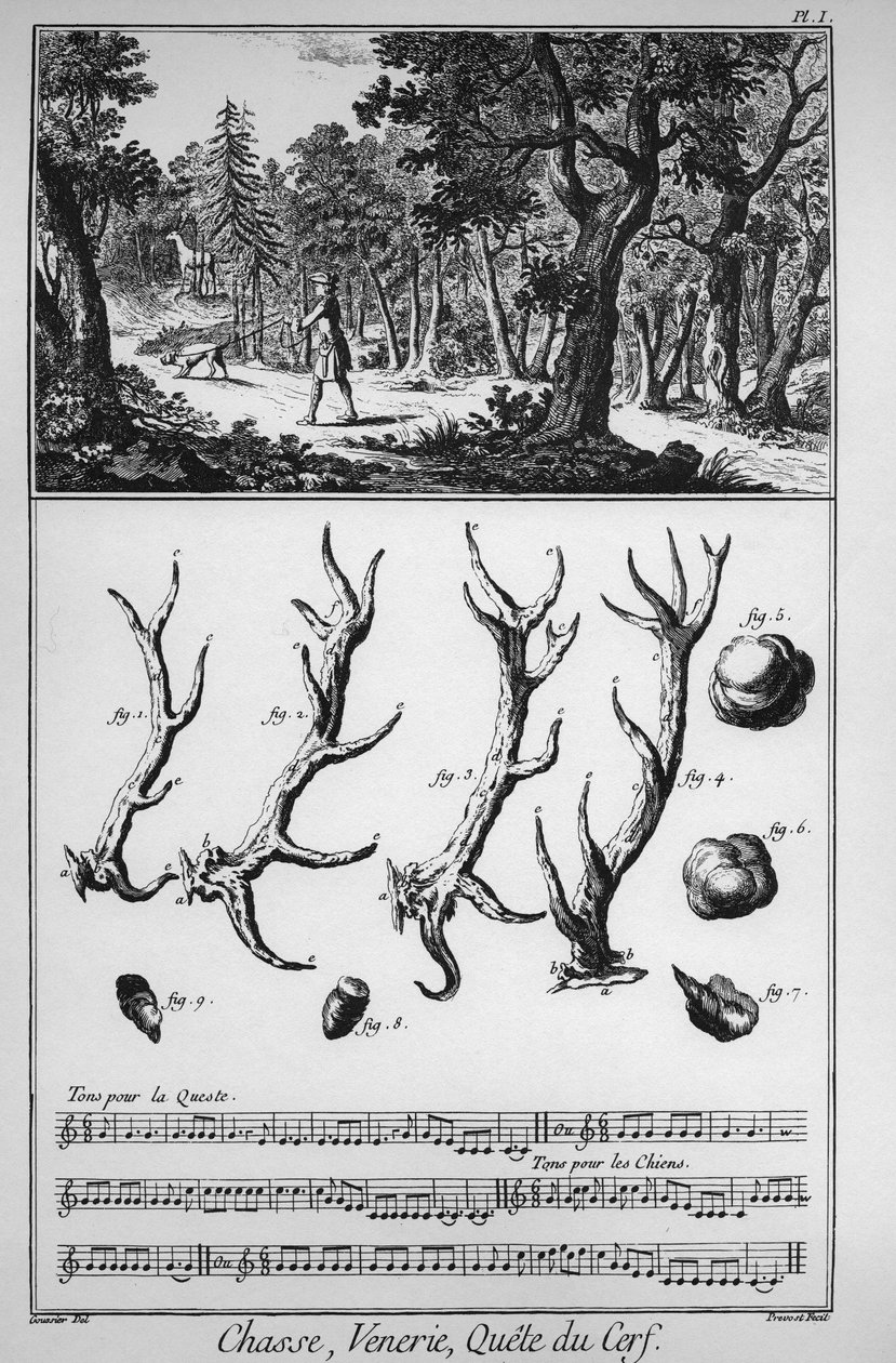 Chasse - la quete du deer - "The Great Encyclopedie, ou Dictionnaire Raisonne des Sciences, des Arts et des Metiers" (Enciclopédia ou Dicionário das Ciências, Artes e Profissões) de Denis Diderot (1713-1784) e Jean d