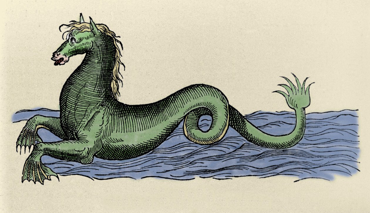 Cheval marin em "De Aquatilibus". de French School