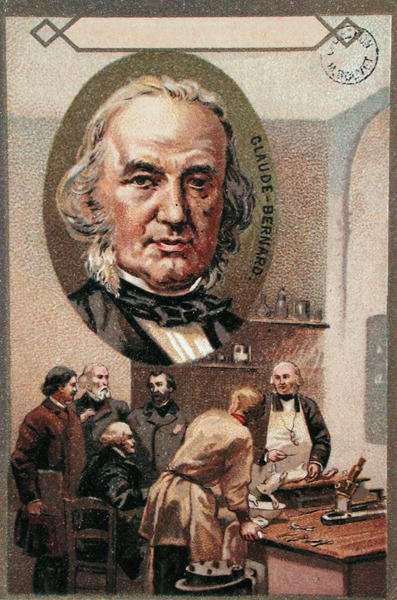 Claude Bernard (1813-78) (chromolitho) de French School