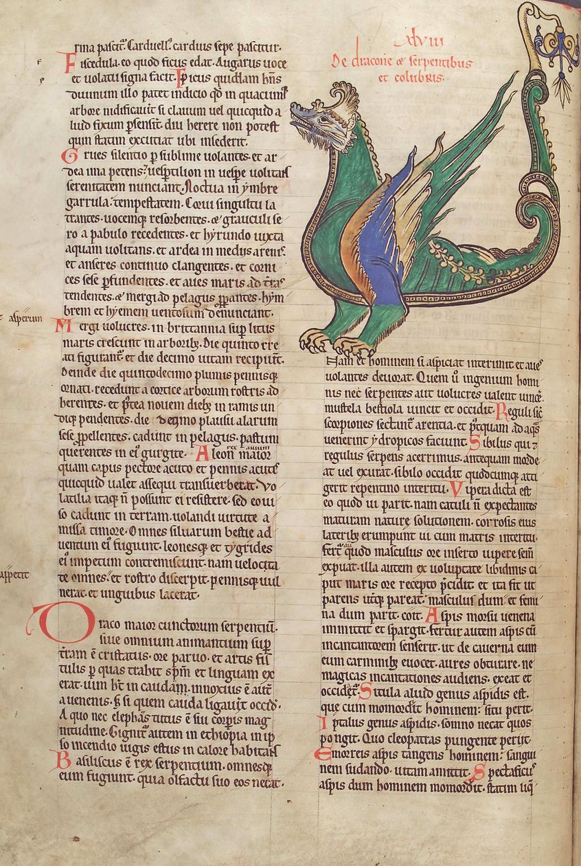 Bacalhau. Guelf. 1 gud. lat. 40v, texto com ilustração de um dragão, de Liber Floridus por Lambert de Saint-Omer c.1120 de French School