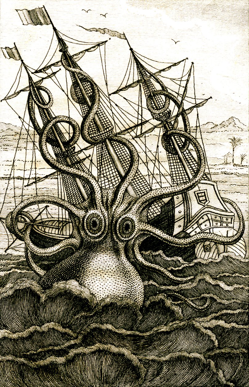 Polvo colossal, c.1802 (gravura) de French School