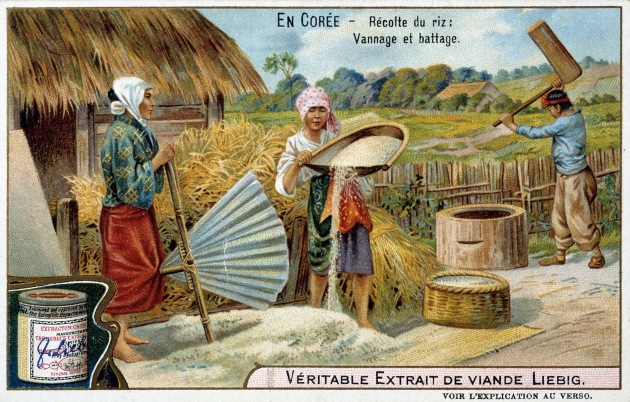 Coree: colheita, tecelagem e debulha de arroz - chromo. Liébig, v.1900 de French School