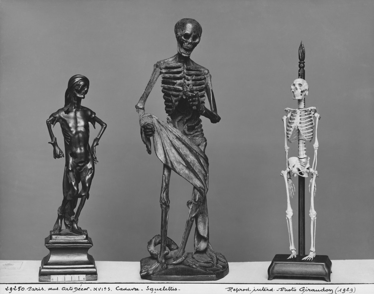 Cadáver, esqueletos de French School