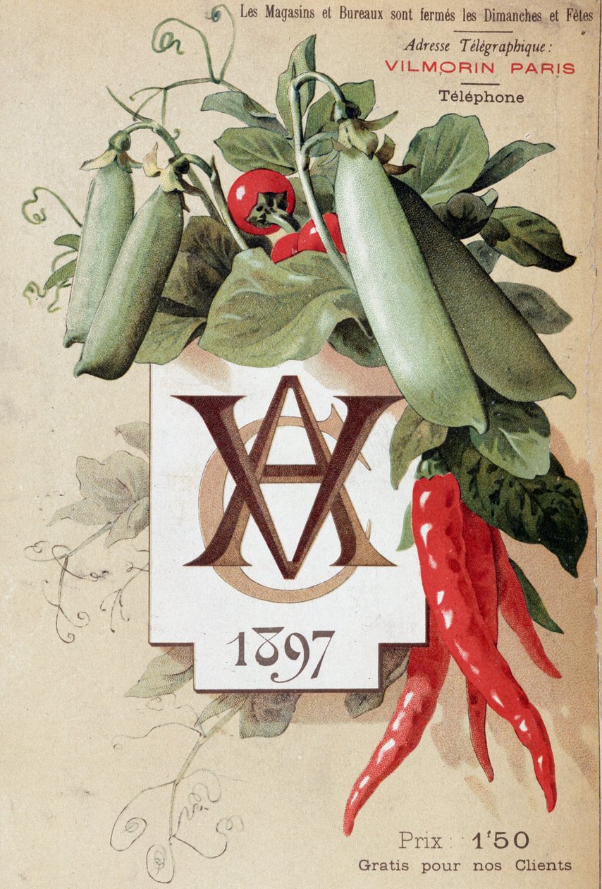 Capa do catálogo Vilmorin de French School