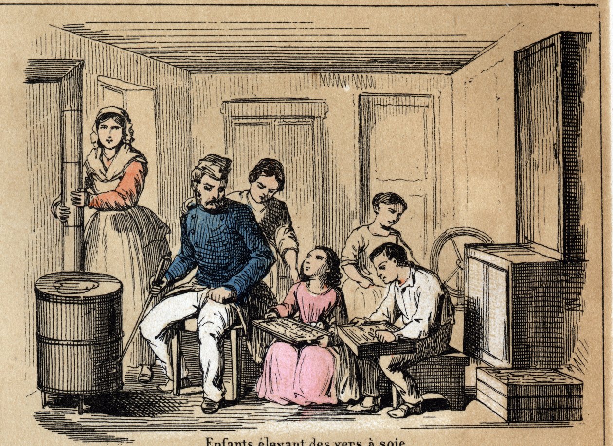 Descrição cultural e produtos de seda: crianças que criam bichos-da-seda. Placa "la soie" em "les Recreations instructives" Pintura sinóptica de Jules DELBRUCK, gravura a partir de 1860. Colecção privada. de French School
