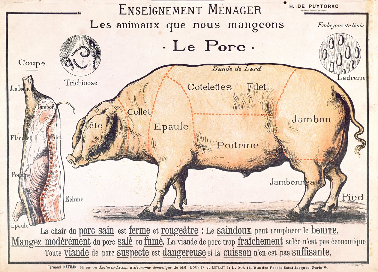 Cortes de Porco, ilustração de um Manual Francês de Ciência Doméstica de H. de Puytorac, publicado pelas Edições Fernand Nathan, final do século XIX de French School