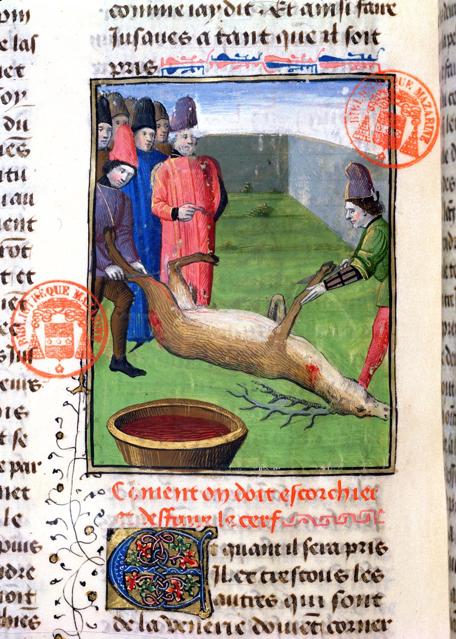 Cortando as pernas de um cervo morto, do Livre de la Chasse por Gaston Phebus de Foix (1331-1391) de French School
