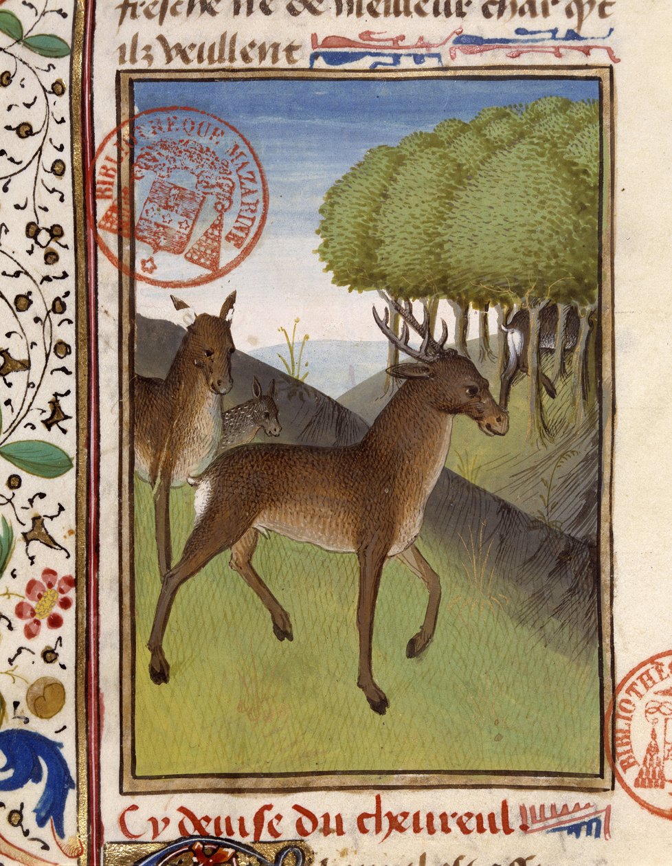 Veado e Veado - em "O Livro de Caça de Gaston Phoebus, Conde de Foix, Senhor de Béarn". de French School