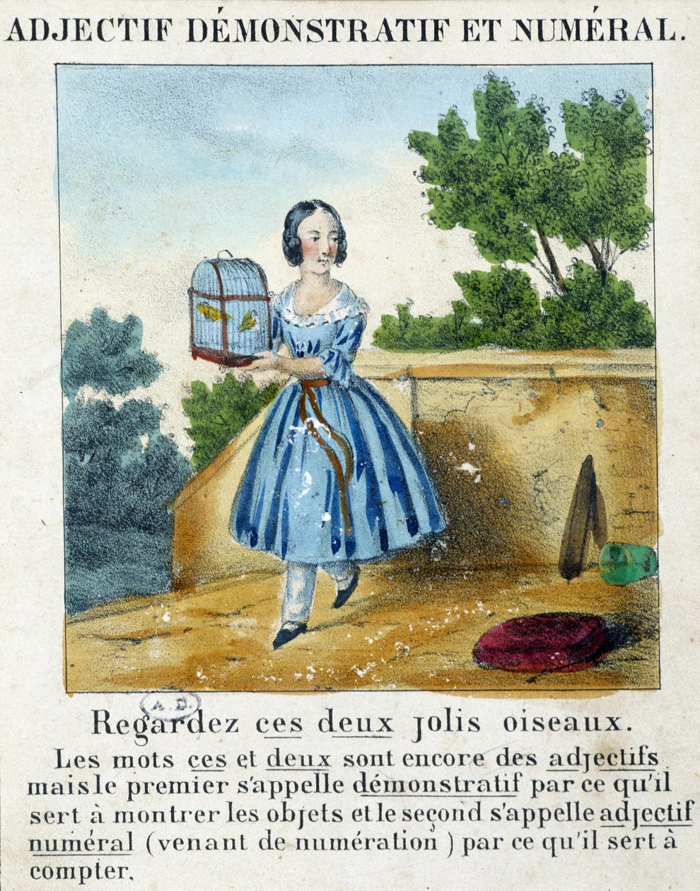 Adjetivo demonstrativo e numérico (uma menina carregando uma gaiola com 2 pássaros) - em "La grammaire en images". de French School