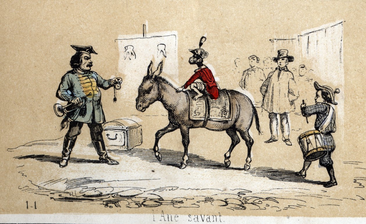 Descrição dos diferentes produtos e usos do burro: o burro aprendido é usado por artistas de circo. Placa "O burro e seus produtos" em "Les Recreations instructives" Pintura sinóptica de Jules DELBRUCK, gravada a partir de 1860. Coleção particular. de French School