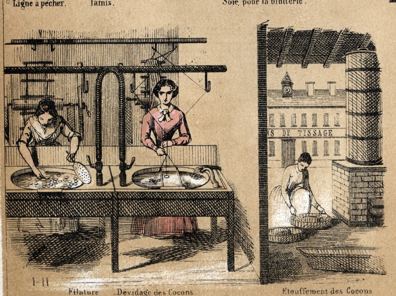 Descrição da cultura e dos produtos de seda: trabalhadores que fiam seda, removendo ou sufocando casulos. Placa "la soie" em "les Recreations instructives" Pintura sinóptica de Jules DELBRUCK, gravura a partir de 1860. Coleção particular. de French School