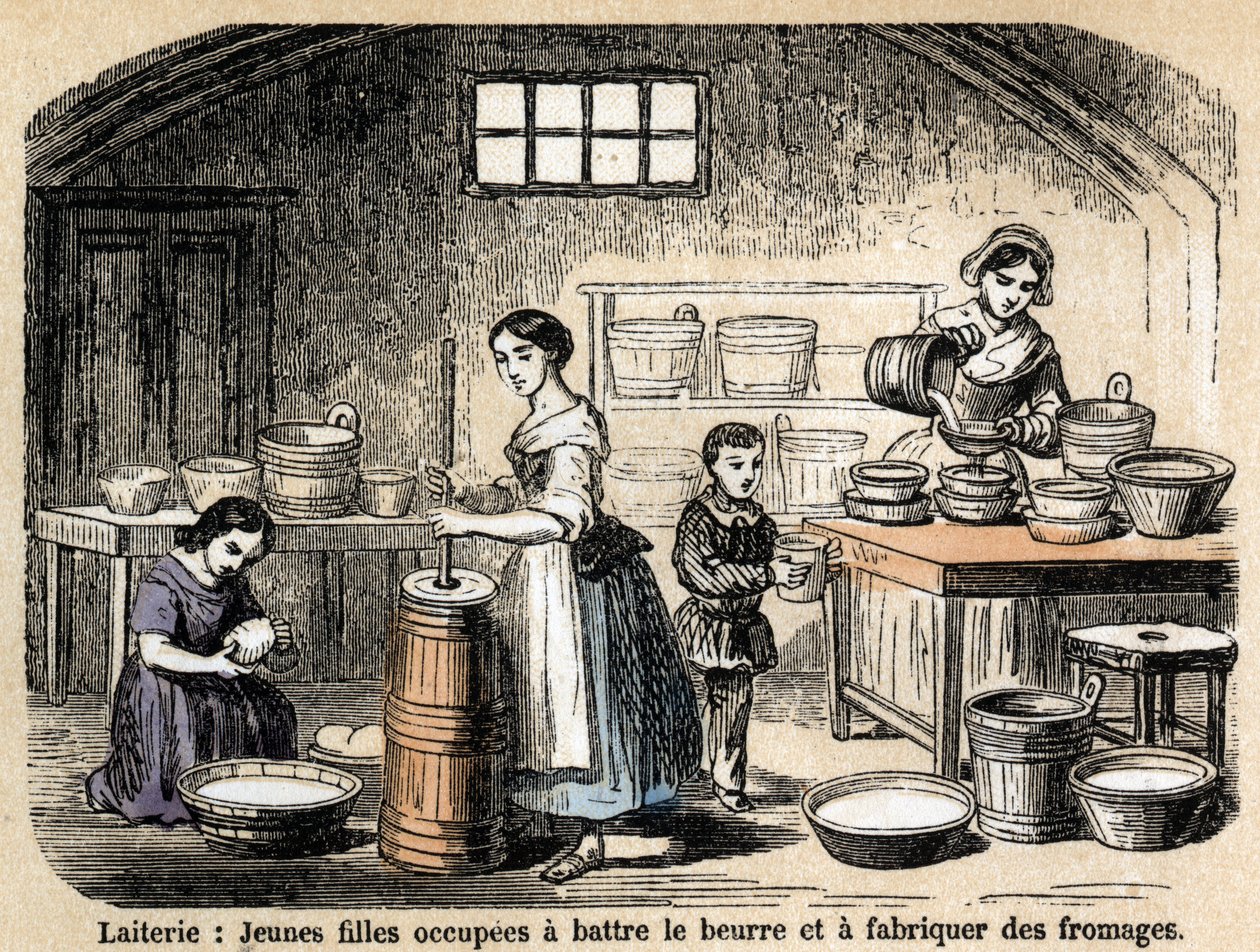 Descrição dos vários empregos e produtos ovinos: jovens produtores de leite fazendo manteiga e queijos em um laticínio. Placa "Les moutons" em "les Recreations instructives" Pintura sinóptica de Jules DELBRUCK, gravada a partir de 1860. Colecção privada. de French School