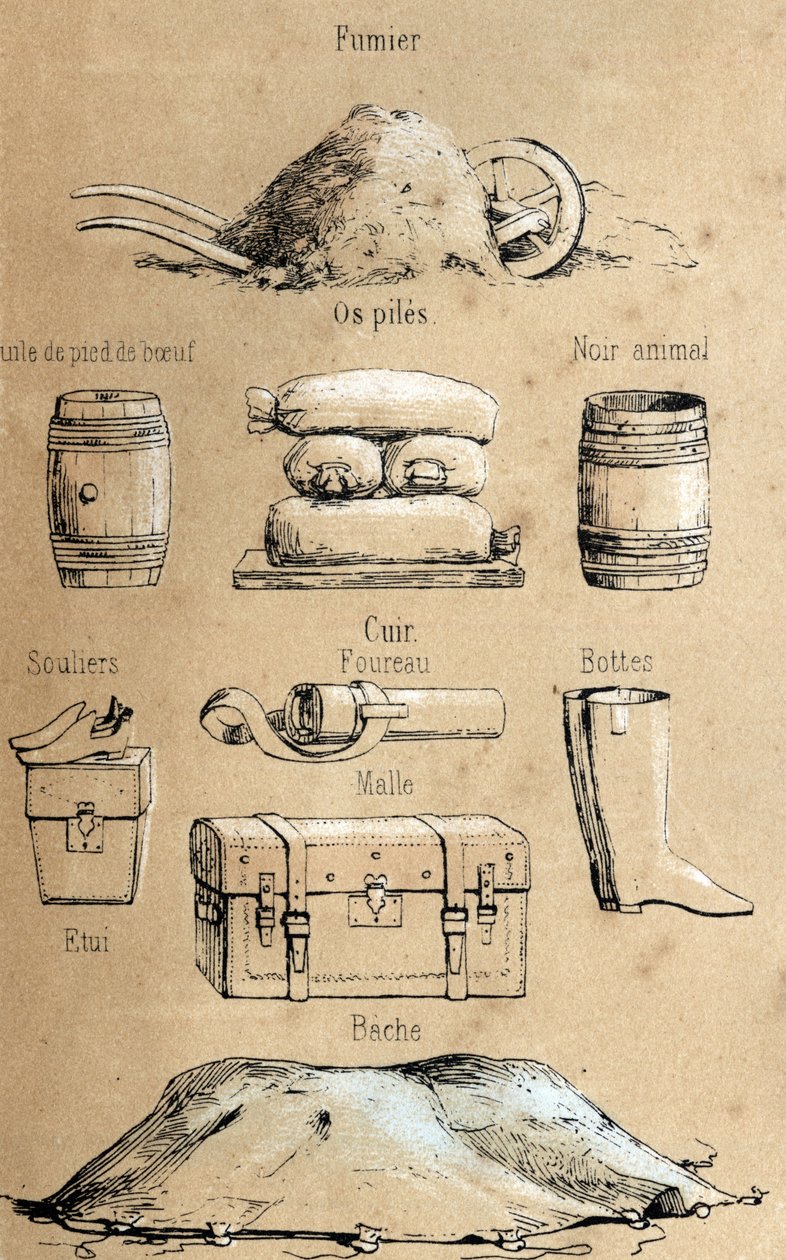 Descrição dos vários produtos e usos da vaca: todo o tipo de objectos feitos de vaca (óleo de pé de vaca, objectos em pele, estrume). Placa "La coache et ses produits" em "les Recreations instructives" Pintura sinóptica de Jules DELBRUCK, gravura a partir  de French School