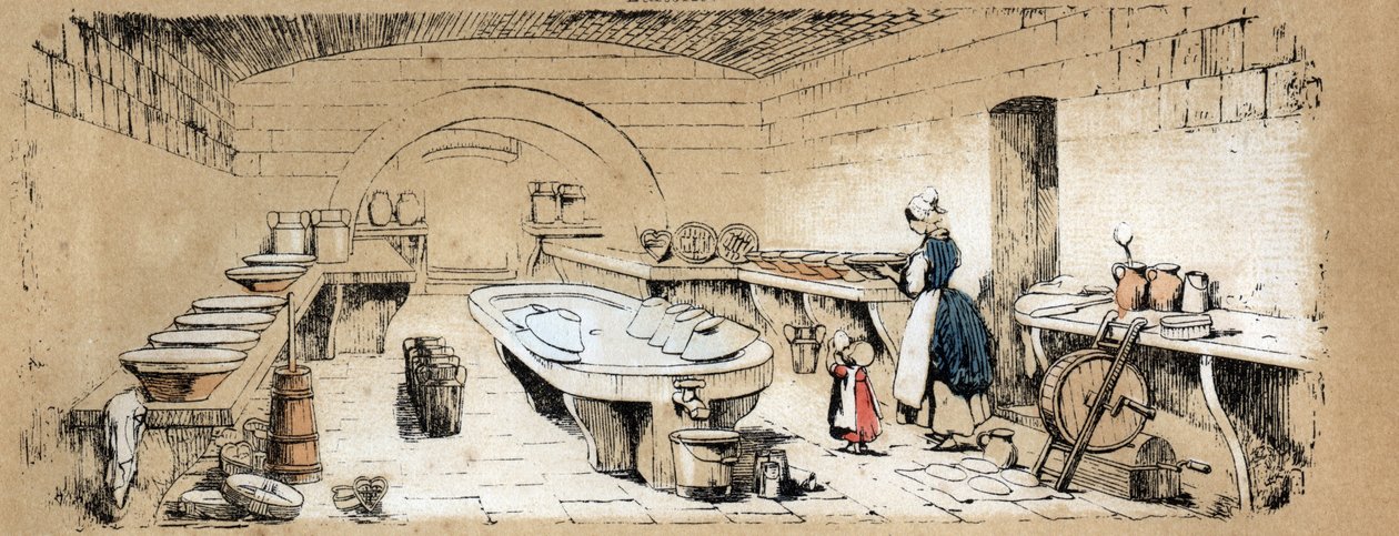 Descrição dos vários produtos e usos da vaca: vista de um queijo de fabrico de lacticínios. Placa "La coache et ses produits" em "les Recreations instructives" Pintura sinóptica de Jules DELBRUCK, gravada a partir de 1860. Colecção privada. de French School