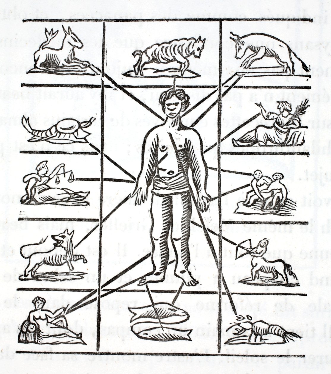 Designação de partes que cada signo governa de French School