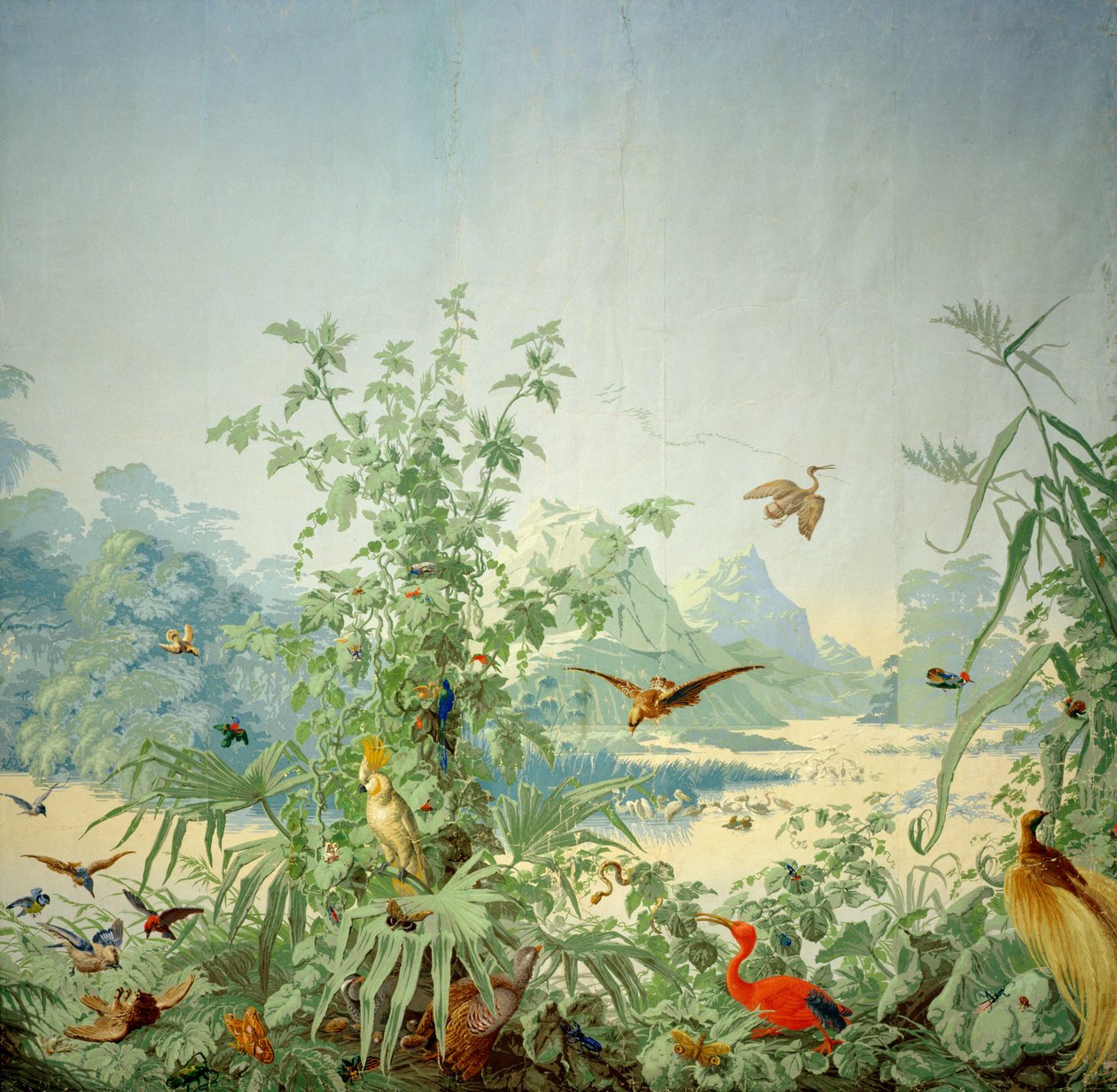 Detalhe do Brasil, um design panorâmico de papel de parede, impresso por Desfosse et Karth, Paris, 1867 de French School