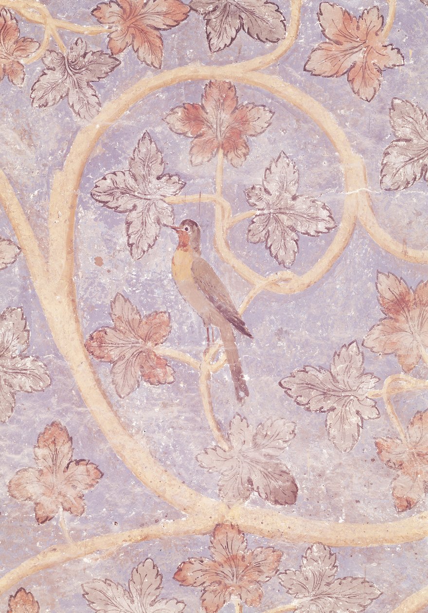 Detalhe de um pássaro, da decoração da parede do quarto dos Papas, c.1334-62 (ver também 154784) de French School