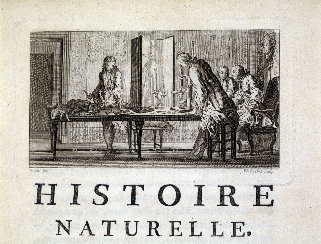 Dissecação de animais - em "Histoire naturelle, générale et particular" de Buffon de French School