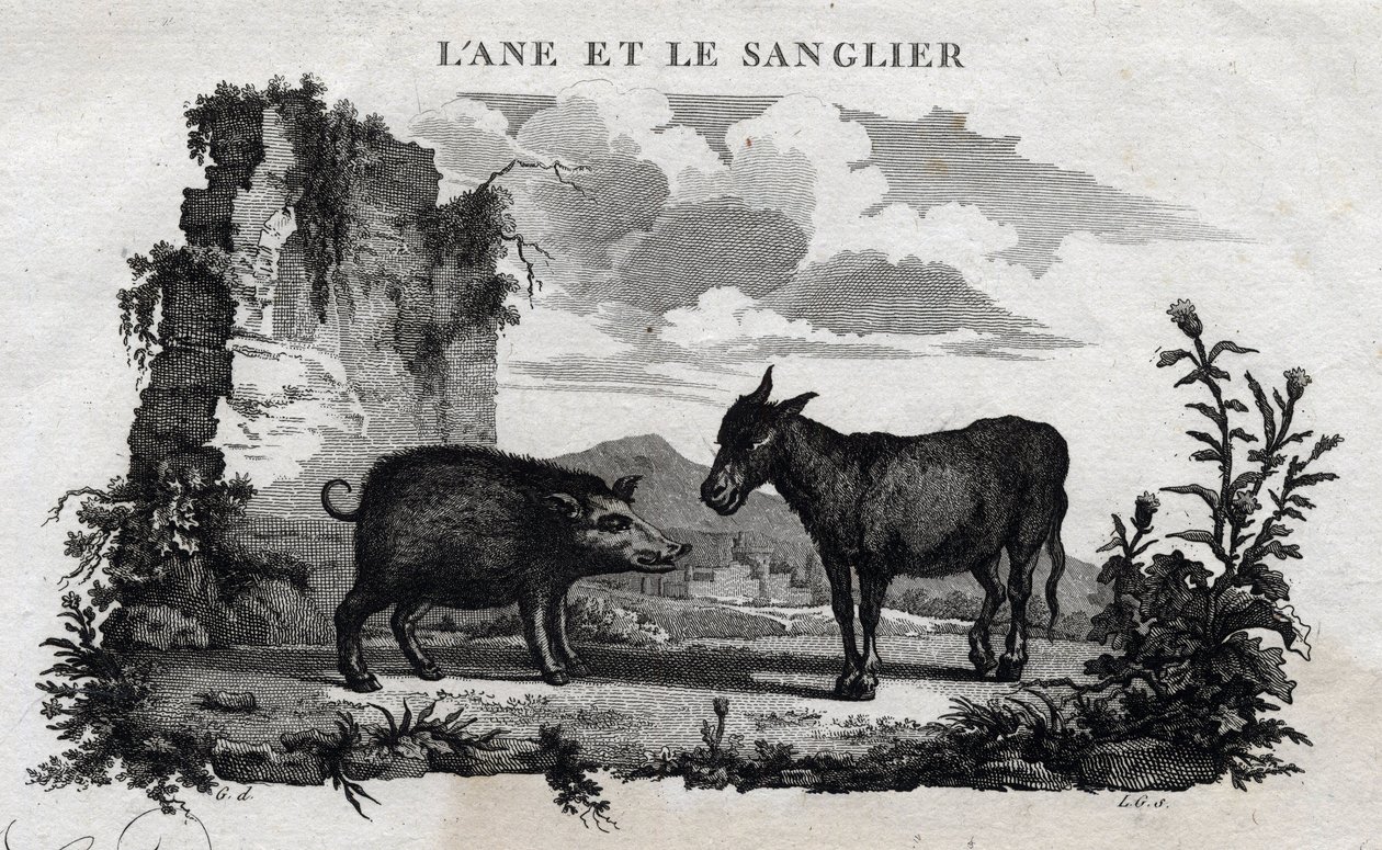 Burro e javali. Fábula de Esope. (escritor grego Esopo ou Ecopus, século VI a.C.) Escrito por Guillaume Montfort e Gravees por Beauble em 1801. de French School