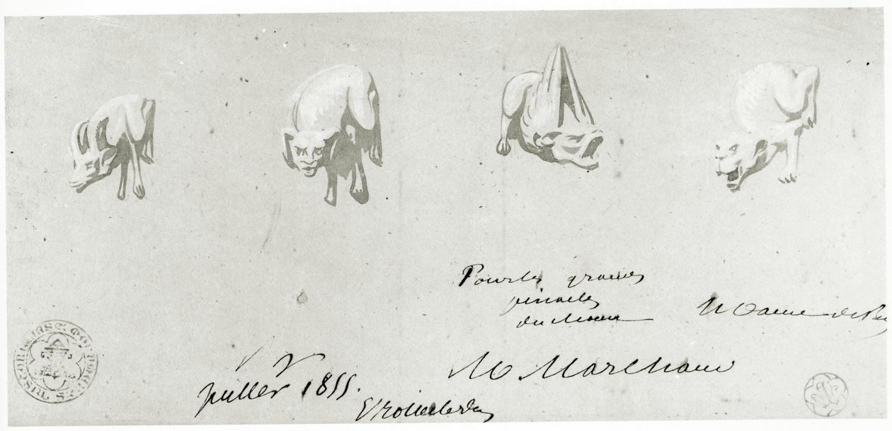 Desenho para a restauração das gárgulas de Notre Dame, 1855 de French School