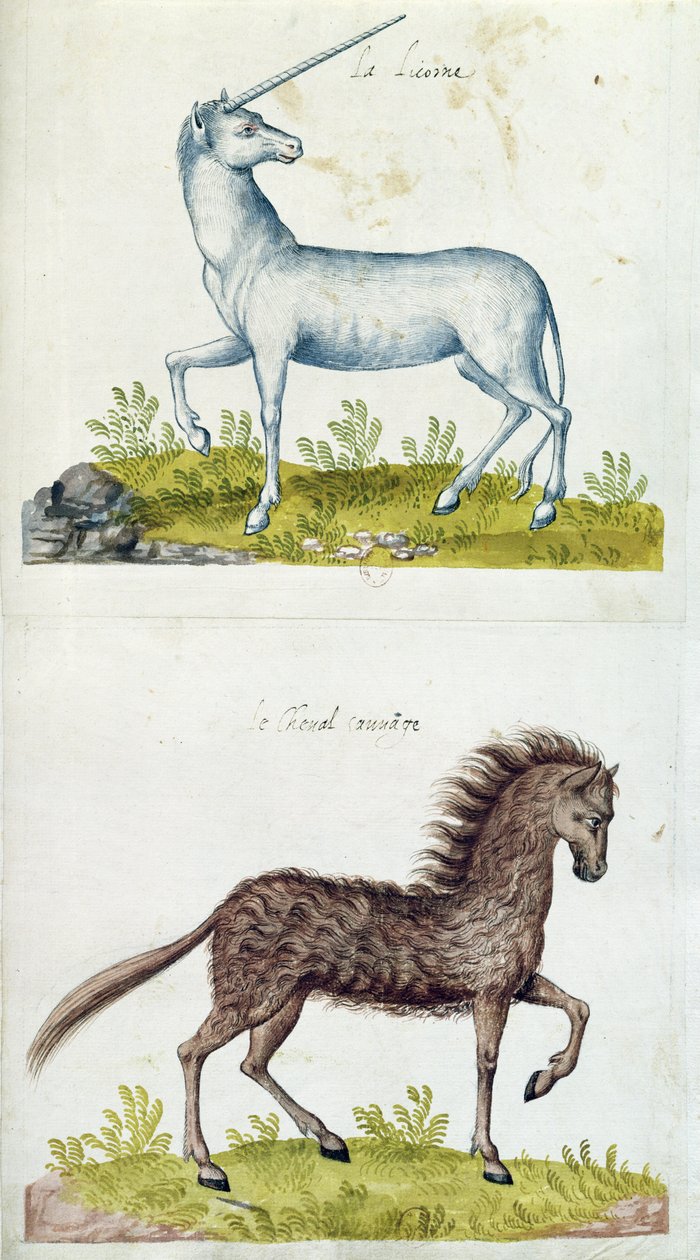 Desenhos de um unicórnio e um cavalo selvagem (wc no papel) de French School