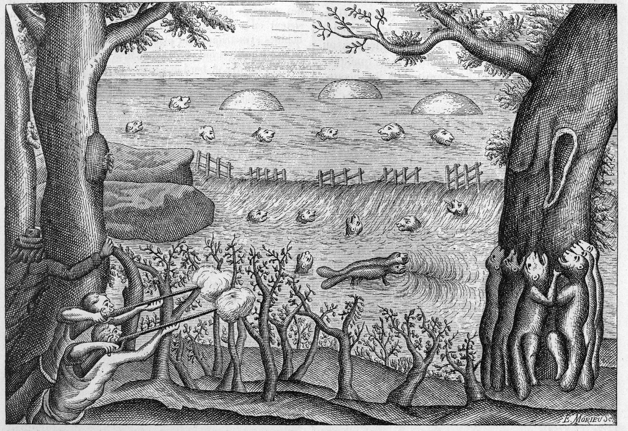 Gravura de 1738 em "Les aventures de Claude Lebeau" (Ir c Le Beau) 1738. de French School
