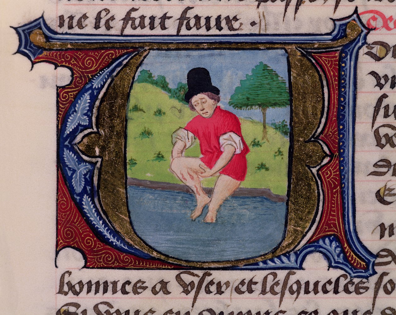 F.27v Leeching, do Tratado de Medicina por Aldebrande de Florença, 1356 de French School
