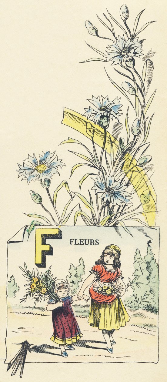F: flores de French School