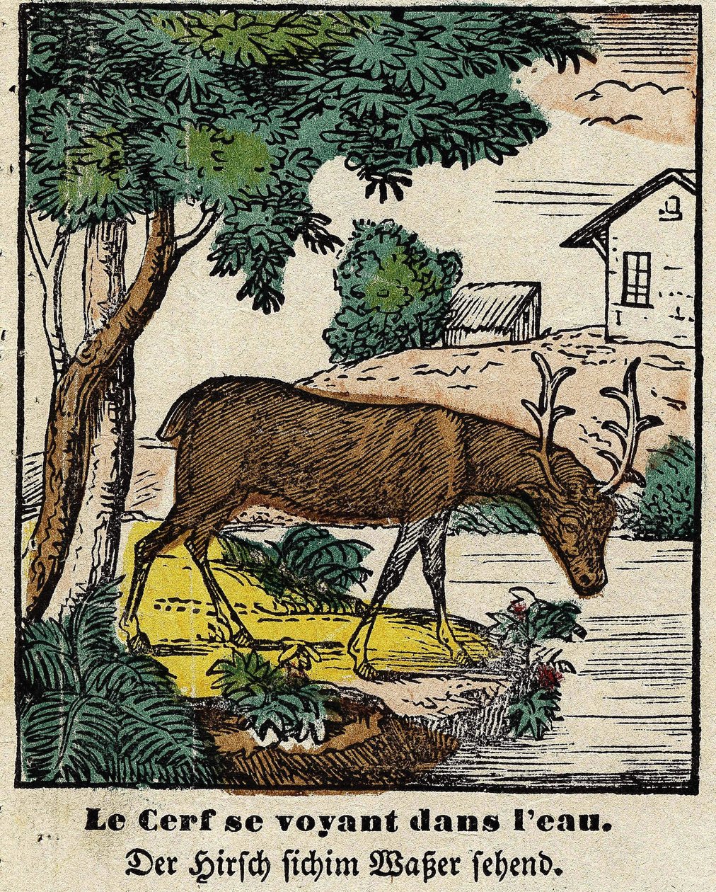 Fables de La Fontaine: os veados vendo-se na água. Imagem de Epinal, primeira metade do século XIX de French School