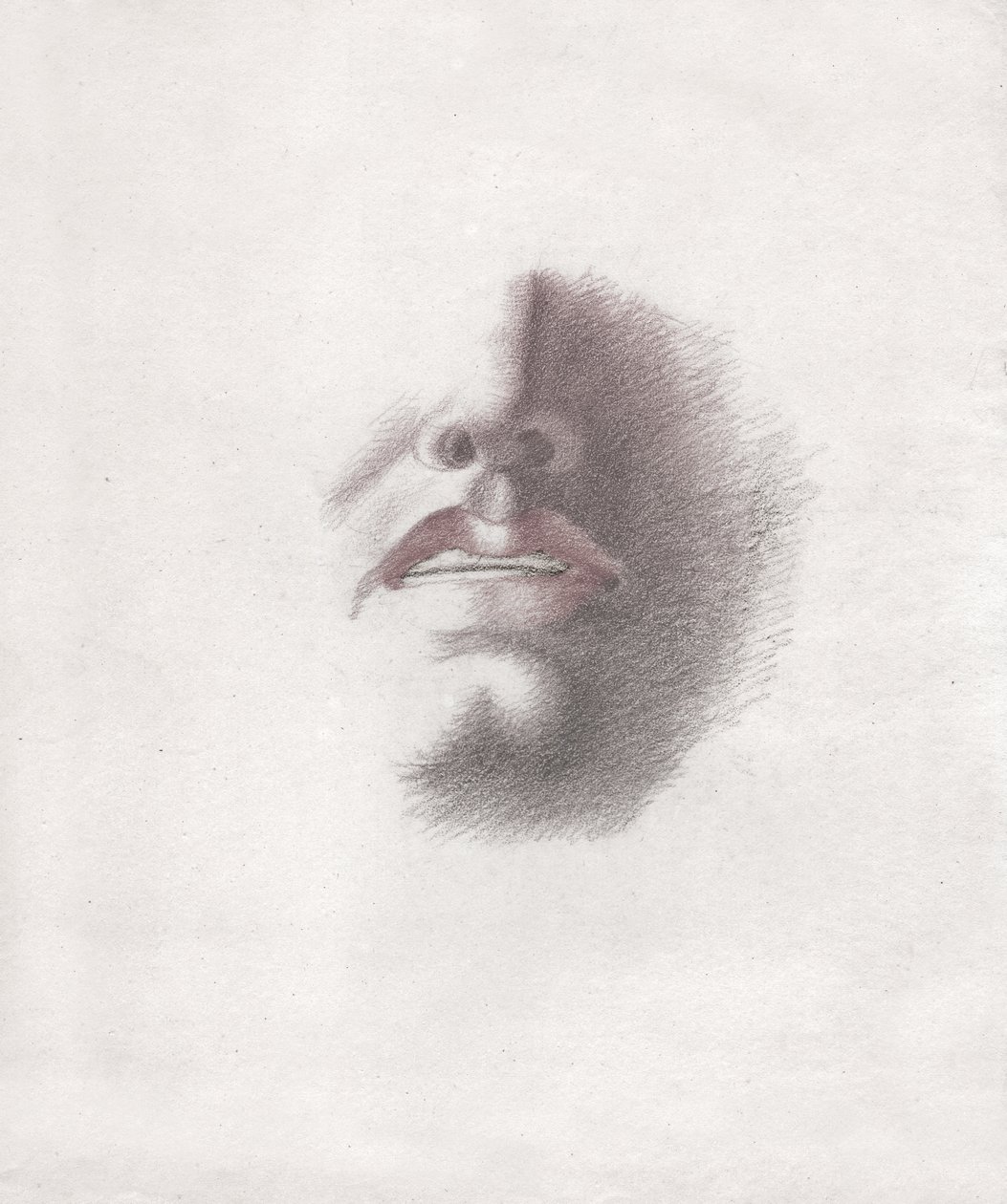 O rosto de um homem. (desenho, por volta de 1830) de French School
