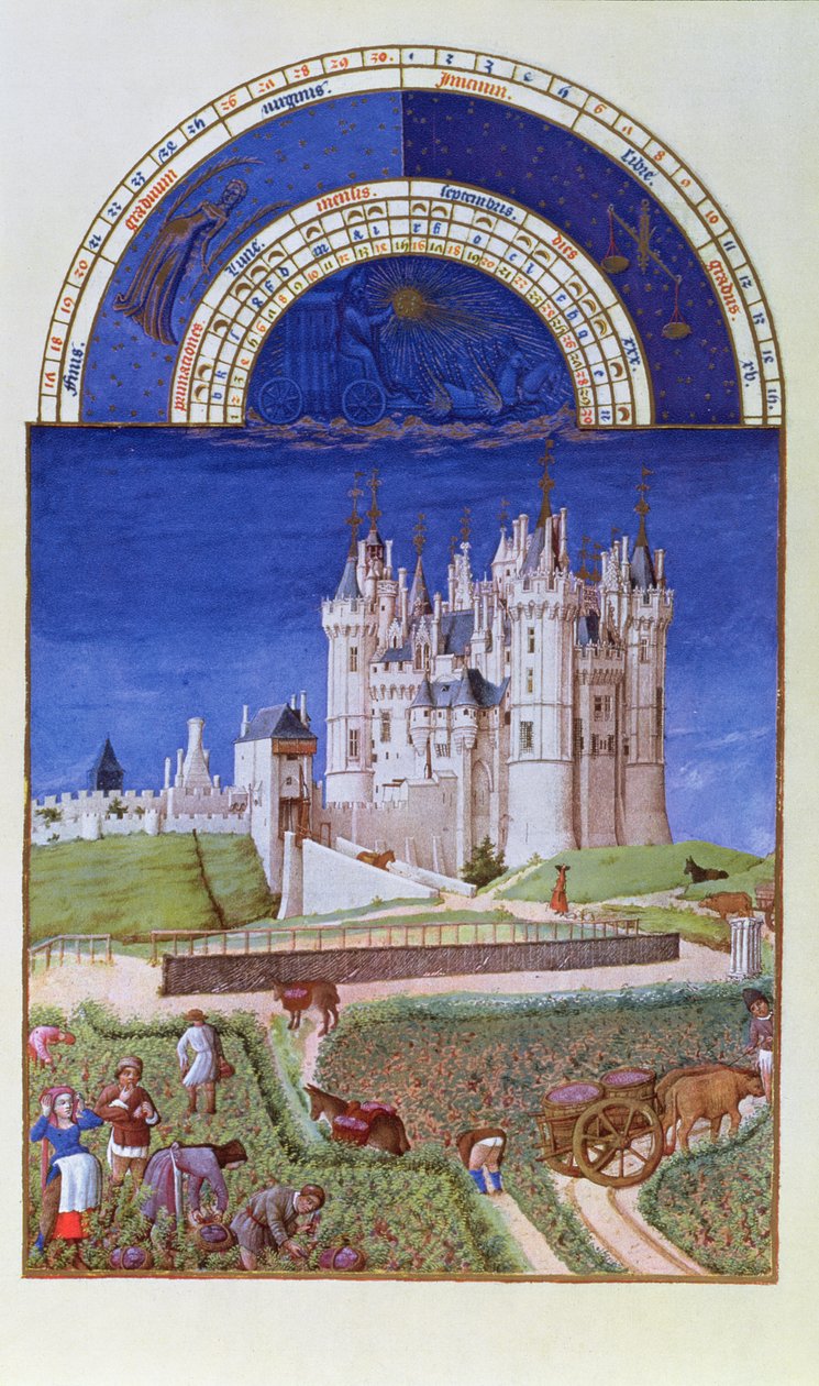 Fascimile de setembro: colheita de uvas pelos irmãos Limbourg, dos Tres Riches Heures du Duc de Berry (por original ver 8441) de French School