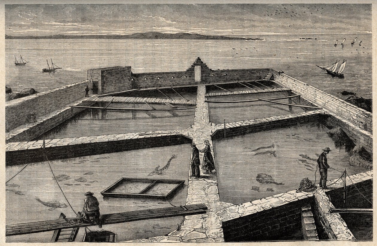 Piscicultura em Concarneau - Bretanha - Estabelecimento de piscicultura - Concarneau - Finistere - Bretanha - gravura em "PATRIE" - IMAGEM DE DESCRIÇÃO PICTURAQUIRESSE DE LA FRANCE EN 6 VOLUES POR LUCIEN HUARD - final do século XIX de French School