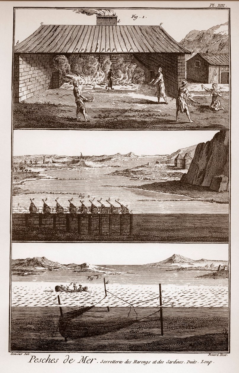 Pesca, arenque e sardinha - Peches de Mer - Sorretterie des herring et des sardines - "La Grande Encyclopedie, ou Dictionnaire Raisonne des Sciences, des Arts et des Metiers" (Enciclopédia ou Dicionário das Ciências, Artes e Profissões) por Deni de French School