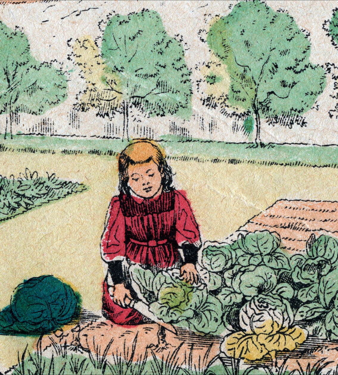 A crença francesa: Uma menina, acreditando que os bebês nascem em couves ou rosas, corta os brotos de uma horta - Foto epinal - século 19 (gravura) de French School