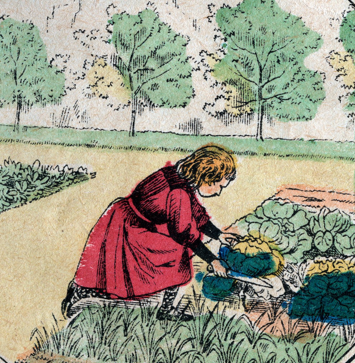 A crença francesa: Uma menina, acreditando que os bebês nascem em couves ou rosas, corta os brotos de uma horta - Foto epinal - século 19 (gravura) de French School