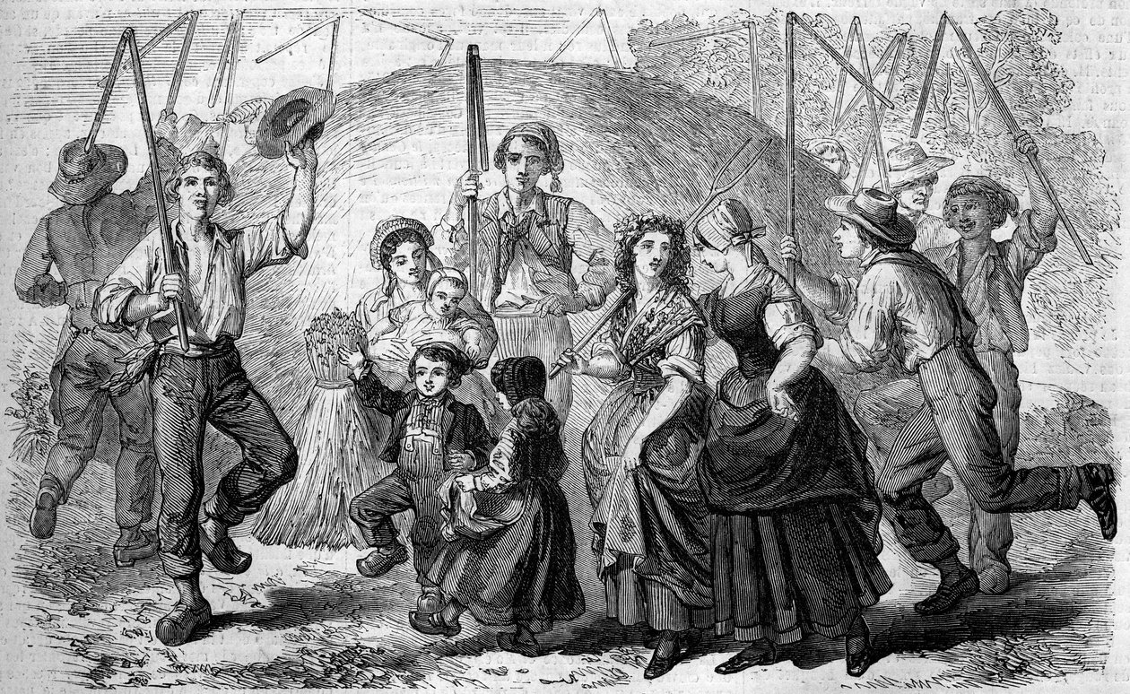 Costume francês: canções e danças de camponeses ao redor do último molho de trigo sarraceno da safra. Conde sur Noireau, Calvados (14) de French School