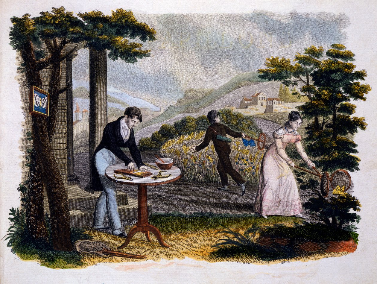 Frontispício de Les Papillons ... de Eugene Balland (1796-c.1850), publicado por P. Blanchard, Lecerf, Paris, 1823 (gravura a cores) de French School